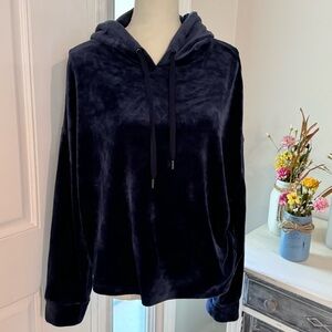 DKNY Sport Velour Hoodie blue size large